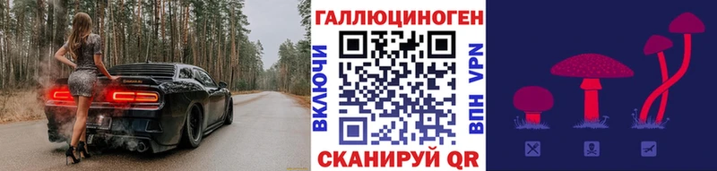 Псилоцибиновые грибы Psilocybe Северская